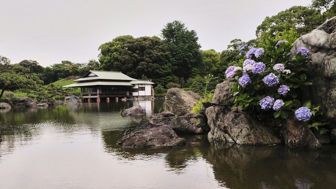 苏州经典一日游 · 拙政园留园苏州博物馆平江路讲解